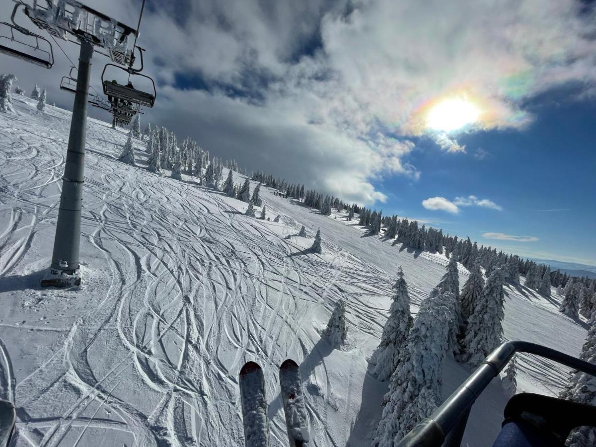 Апартаменти Pano Kopaonik Panorama Екстер'єр фото
